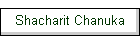 Shacharit Chanuka